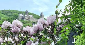 a castle on a hill with pink flowers at -CS24- 1 room Apartment with terrace - ALT03 in Altena +6 photos