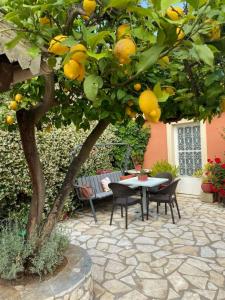 een tafel en stoelen onder een citroenboom bij Lori House in Corfu. Feel like your home in Skriperón