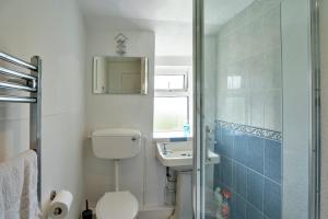 ein Badezimmer mit Toilette und Waschbecken in der Unterkunft Finest Retreats - Cutkieve Farm Cottage in Middlehill + 24 Fotos