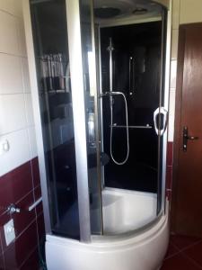 um chuveiro numa casa de banho com uma porta de vidro em Apartman Break 1 em Bijeljina