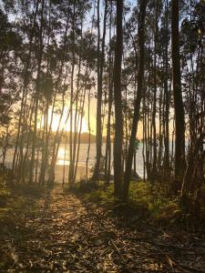 Příroda nedaleko apartmánu