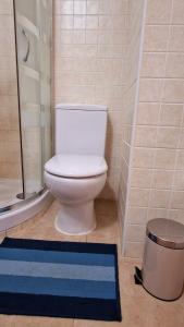 a bathroom with a toilet and a shower and a rug at Le Casa del Sol de Marta in Manilva +19 photos