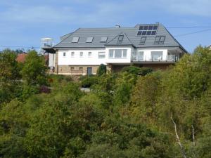a house on top of a hill with trees at Haus Burgsponheim in Burgsponheim