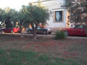 Foto dalla galleria di A Giummara a Marsala