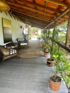 eine Terrasse mit Stühlen und Topfpflanzen darauf in der Unterkunft Jandaia Atins in Atins