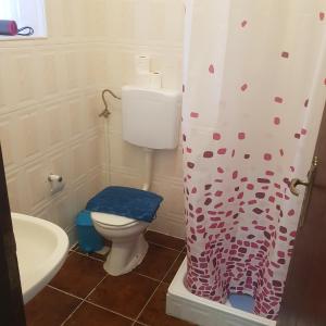 a bathroom with a toilet and a shower curtain at José Domingos in Belmonte +71 photos