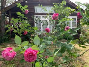 a group of roses in front of a house at Romantic house on a pine hill Dalat in Xuan An