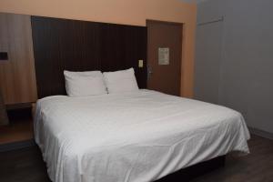 Postel nebo postele na pokoji v ubytování University Manor Inn