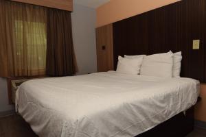 Postel nebo postele na pokoji v ubytování University Manor Inn