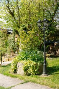 un poste de lámpara en el césped junto a un arbusto en Les Glycines de Monchy- Chambres d'hôtes, en Monchy-Humières