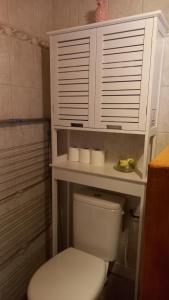 a bathroom with a toilet with a cabinet above it at Sur les Rives du Haut Allier in Blassac +29 photos