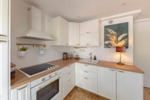 Kuchyň nebo kuchyňský kout v ubytování DSE Apartment