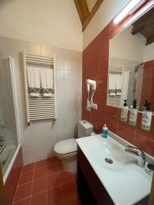 a bathroom with a sink and a toilet and a mirror at A Ribeira do Tambre in Troitosende