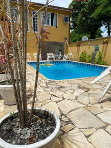 una palmera en una olla junto a una piscina en Pousada Casa Hospedaria, en Paraty