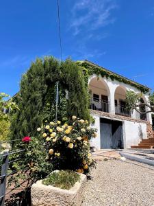 a house with a tree with yellow flowers in front of it at Casa Rural Pernales II in Ruidera