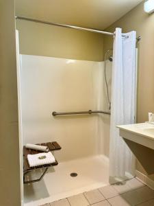 y baño con ducha y lavamanos. en Country Inn & Suites by Radisson, Rochester South, MN, en Rochester