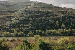funicolare di Torel Quinta da Vacaria - Douro Valley a Peso da Régua