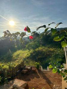 a tree branch with a pink flower on a hill at Hudakala Villa Hanthana in Kandy +21 photos
