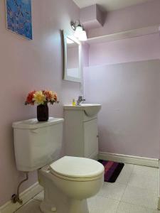 bagno con servizi igienici bianchi e lavandino di Ozone Homes-Private Basement Unit a Halifax
