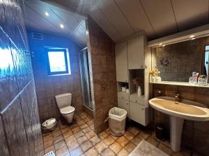 a bathroom with a sink and a toilet at Landhaus Pannonia in Trausdorf an der Wulka +23 photos