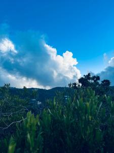 Afbeelding uit fotogalerij van استراحة ديم in Abha