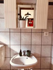 uma casa de banho com um lavatório e um espelho em Lukenda rooms em Pakoštane