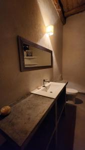 a bathroom with a sink and a mirror and a toilet at Casa Kiwi Jungle Lodge in San Francisco +46 photos
