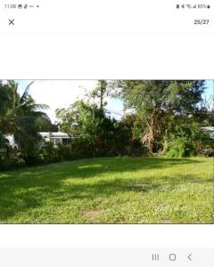Zahrada ubytování Spacious House near Fort Lauderdale - Minutes from Beach