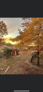 a red barn in a field with a tree at Country Roads cabin in Jamestown