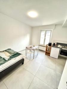 Η κουζίνα ή μικρή κουζίνα στο studio au centre ville de Dudelange