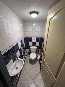 a small bathroom with a toilet and a sink at Dar nour in Les Abrets en Dauphine +9 photos