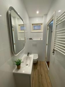 La salle de bains est pourvue d'un lavabo, d'un miroir et de toilettes. dans l'établissement die Perle, à Zandvoort