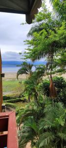 a view of the beach from a resort with a tree at Hotel Camboa Antonina - PR in Antonina