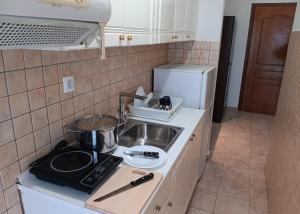 uma pequena cozinha com um lavatório e um fogão em Hotel Calisto em Leptokarya