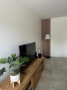 Résidence Camus في بلوا: غرفة معيشة مع تلفزيون بشاشة مسطحة على مركز ترفيهي خشبي
