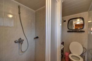 Kúpeľňa v ubytovaní Apartmány Stříbrňák