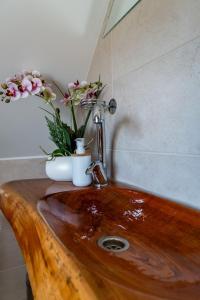 Fotografie z fotogalerie ubytování WeinSpitz - Wellness House v destinaci Miklavž pri Ormožu + 18 fotografií