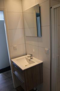 La salle de bains est pourvue d'un lavabo et d'un miroir. dans l'établissement Minicamping Zonnehoek, à Biggekerke