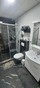 Vannituba majutusasutuses GOLD APARTMANI