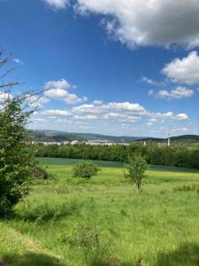 um campo de relva verde com árvores ao fundo em Ferienwohnung im Herzen Meiningen -Erdgeschoss- em Meiningen