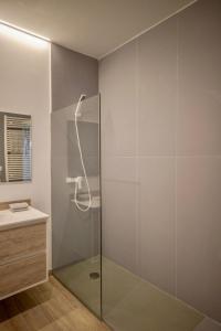 a glass shower in a bathroom with a sink at Loft de diseño junto a la dama de Elche in Valencia