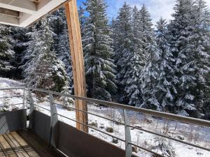 STUDIO CHAMROUSSE 1700 pour 4 personnes - Au calme - Avec WIFI v zimě
