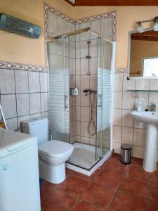 uma casa de banho com um chuveiro, um WC e um lavatório. em Casa Azotea mit Dachterasse em Tijarafe