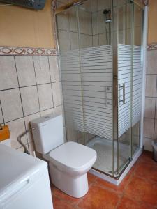 uma casa de banho com um WC e uma cabina de duche em vidro. em Casa Azotea mit Dachterasse em Tijarafe