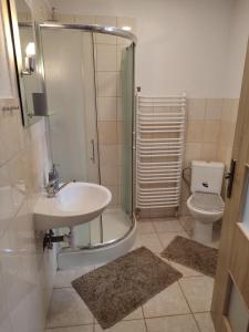 a bathroom with a shower and a sink and a toilet at Privat ZUZANA in Prosiek +24 photos