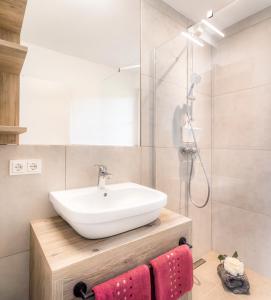 a bathroom with a sink and a shower at Miglurahof in Adnet