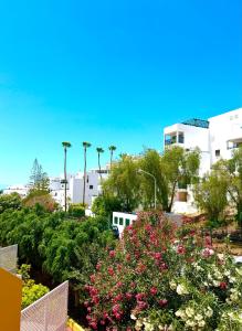 Vonkajšia záhrada v ubytovaní Orlando Luxury Costa Adeje