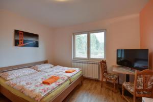 Televízia a/alebo spoločenská miestnosť v ubytovaní Apartmány Stříbrňák