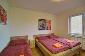 Posteľ alebo postele v izbe v ubytovaní Apartmány Stříbrňák