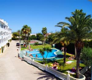 a view of a swimming pool with palm trees at Apartamentos Cap y Corp in Alcossebre